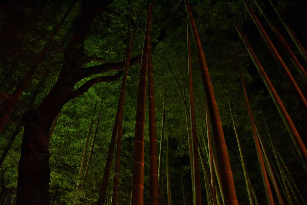 静寂