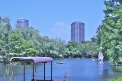 石神井公園　ボート池