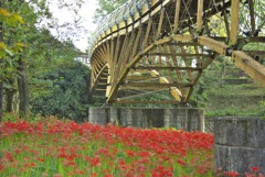 彼岸花と橋