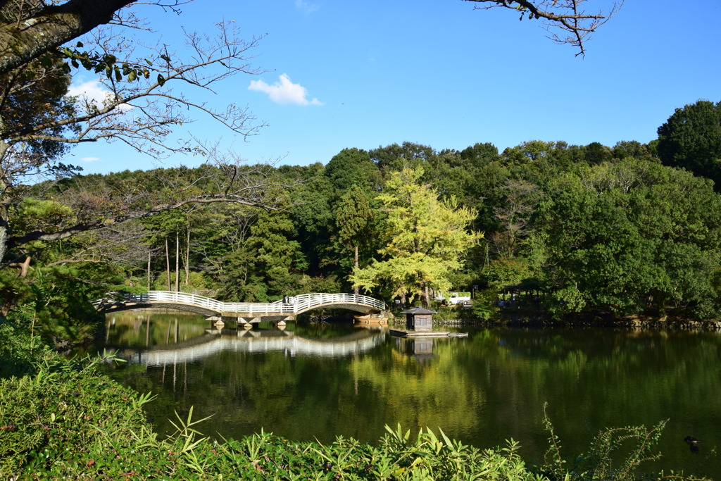 薬師池公園(20181020)