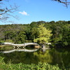 薬師池公園(20181020)
