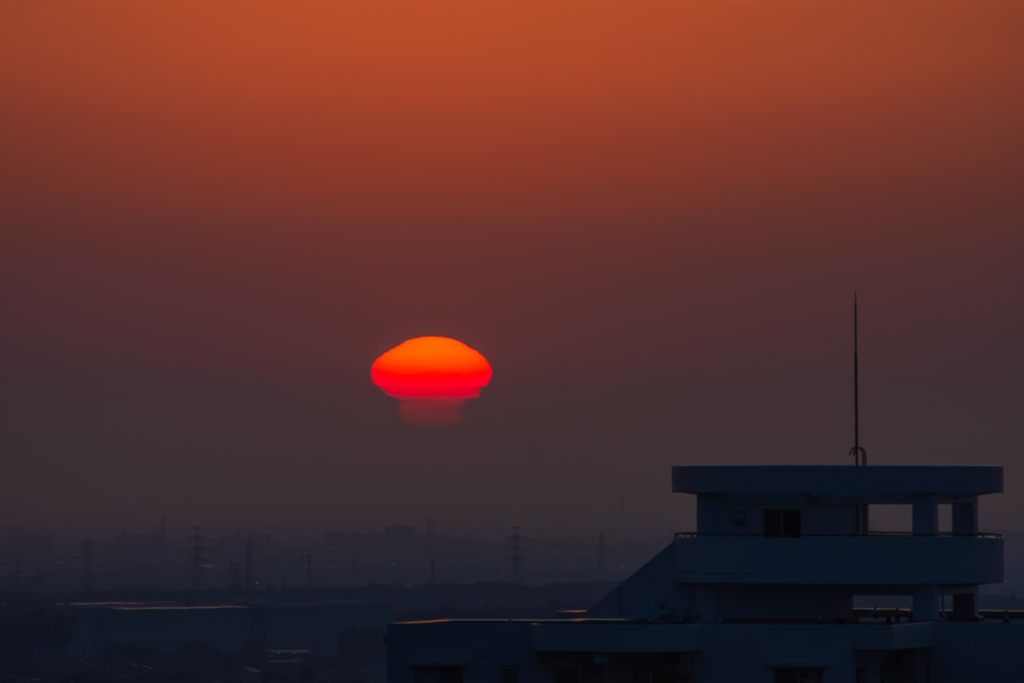 皐月の大気を漂う赤海月