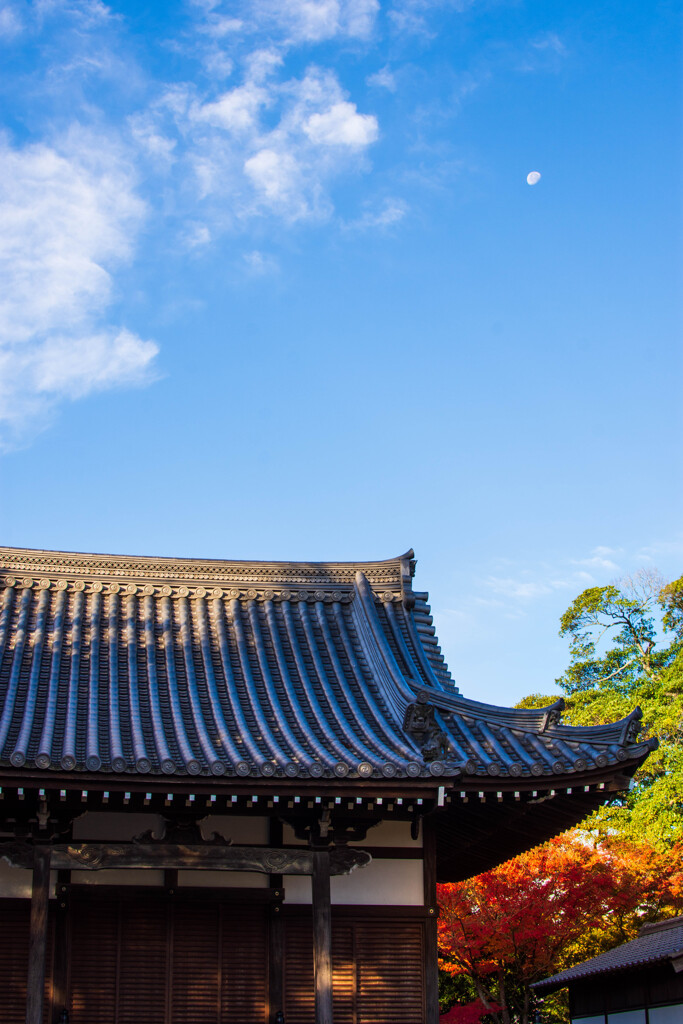 座禅堂と下弦の月