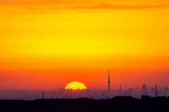 この位がお気に入り