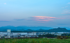 西向けば シロツメクサと焼けた雲