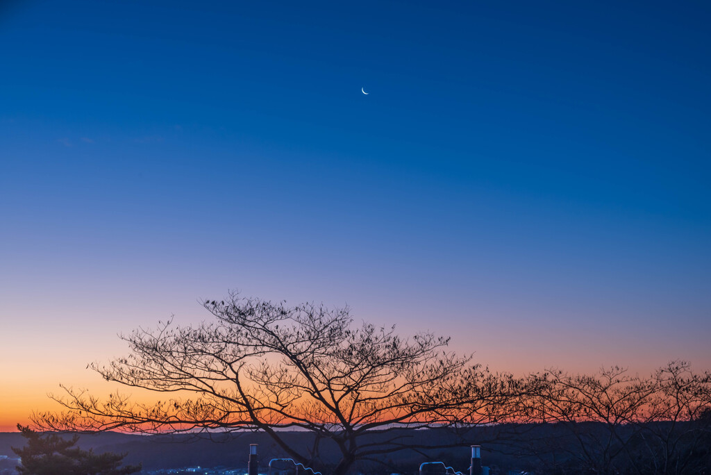 やっぱり 僕は この とき が好きだ！