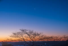 やっぱり 僕は この とき が好きだ！