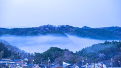 春の霧