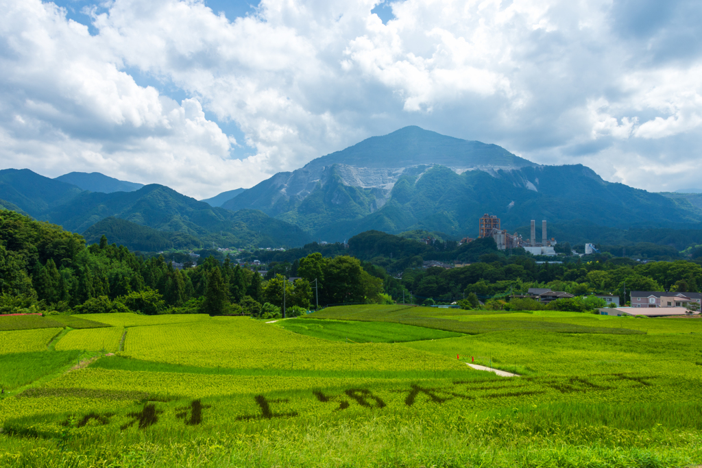 番外編 地元の皆様がファンなのでしょうね(^^)