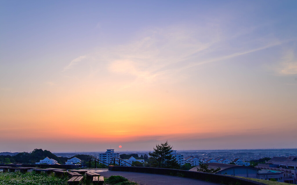 皐月 白詰草と見る朝陽