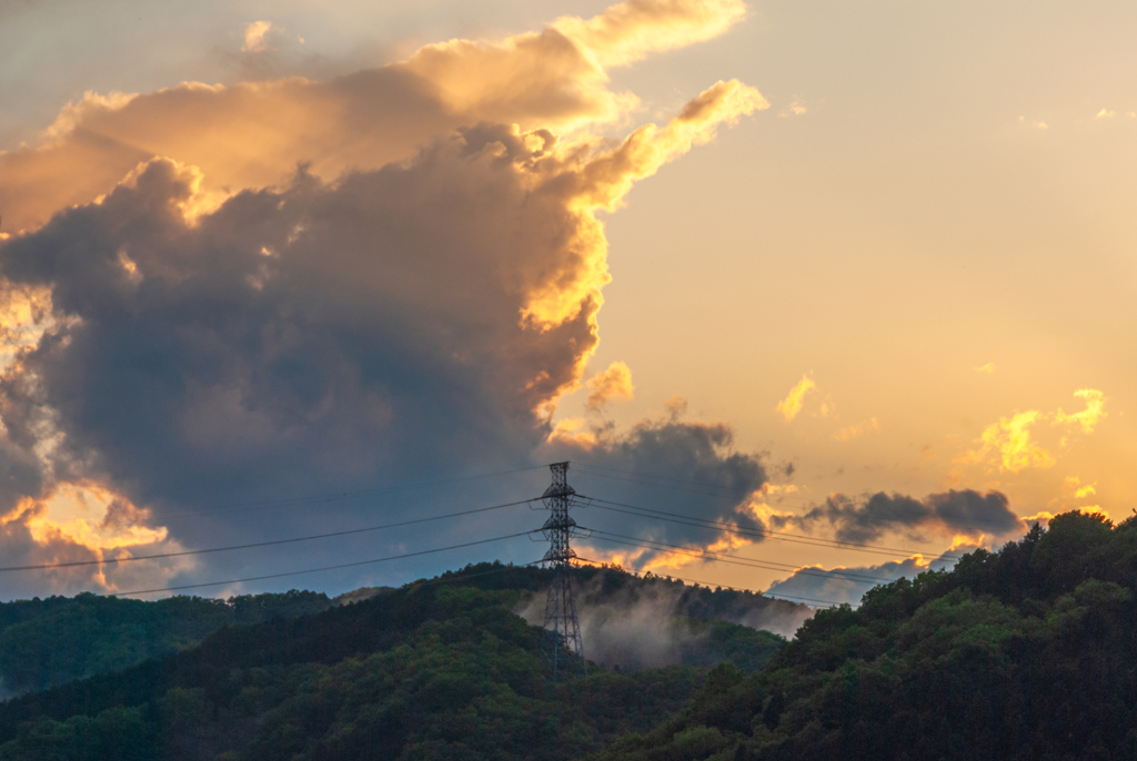 豪雨の後に・・・