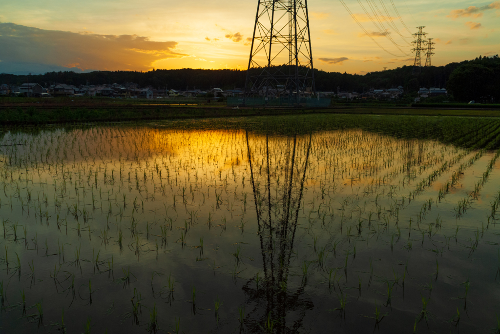 水張月の夕景