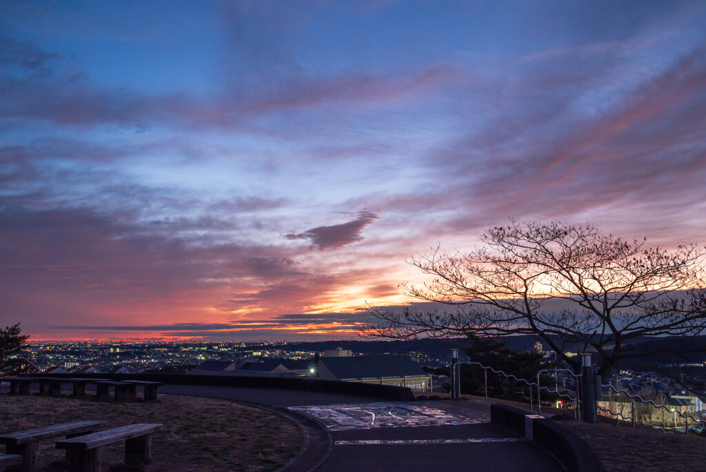 カモシカが翔る