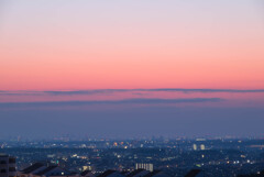 弥生の薄明を染める色