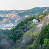 里山の春爛漫Ⅱ