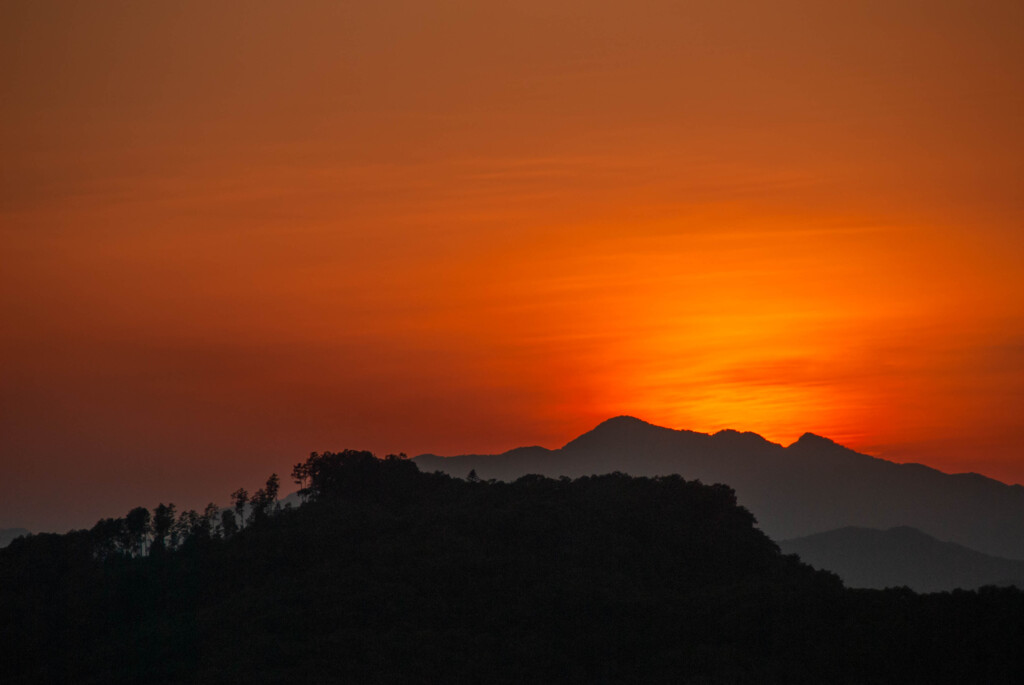 眠りについたねむの木が見損ねた夕焼け