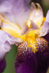 令和の雨で目覚めて・・・Ⅱ
