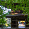 晩秋の広徳寺山門と銀杏Ⅲ