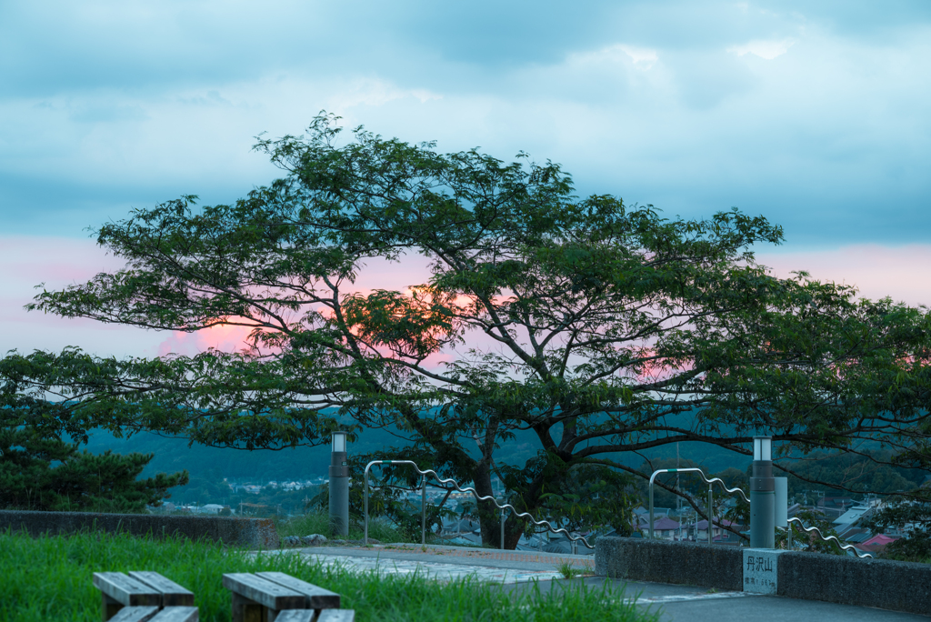 鞘と夕焼け