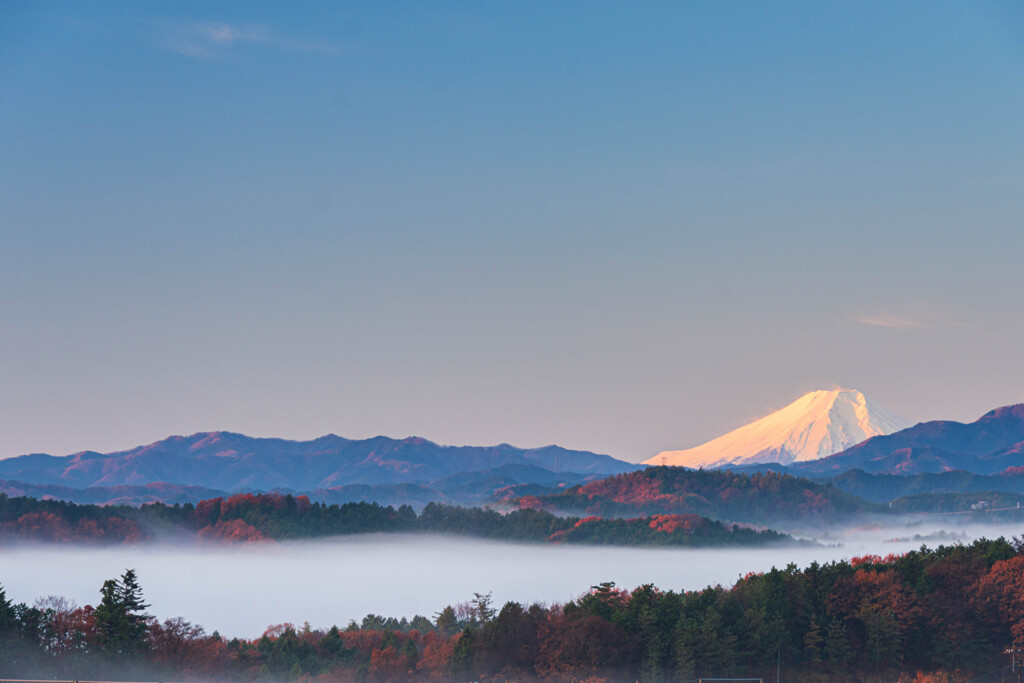 川霧漂う秩父山地東麓から富士山を望む