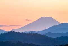 早春に藤色化粧