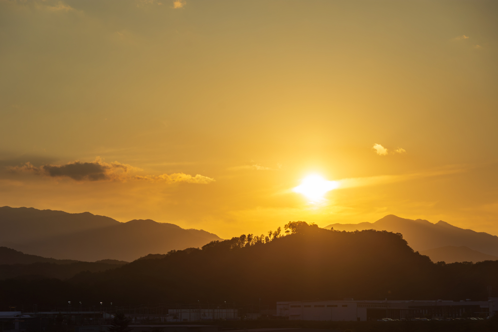 落陽に三光鳥を模して