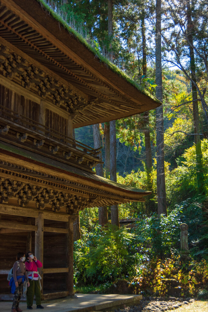 山と門