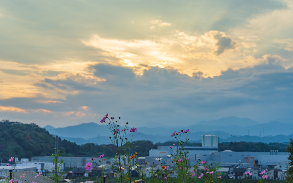 夕暮れせまる・・