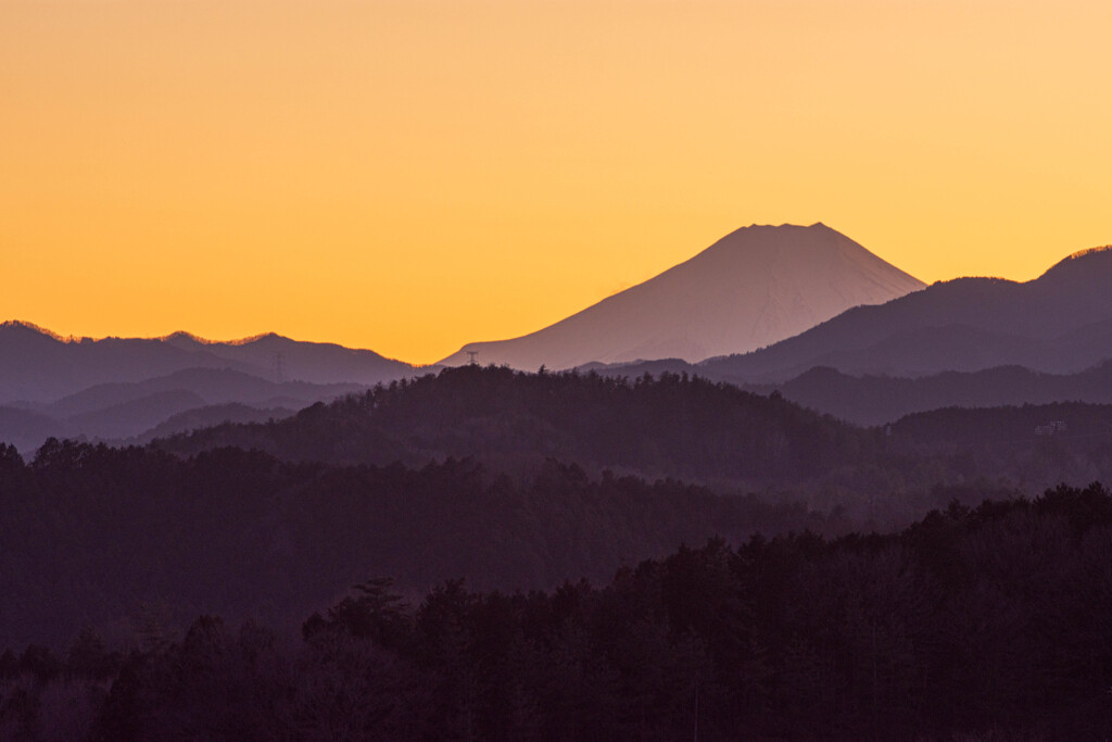 令和2年天皇誕生日の夕景