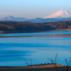 2005・早春の狭山湖Ⅱ