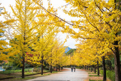 あったか～い 秋の道