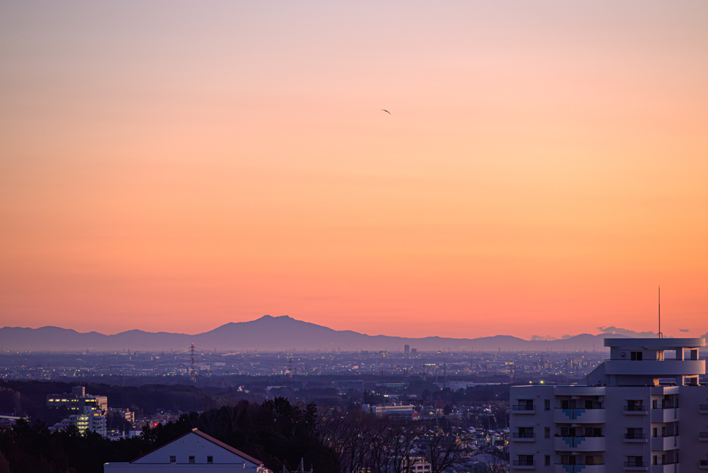 空を翔る