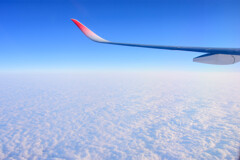 雲上の美学に浸る