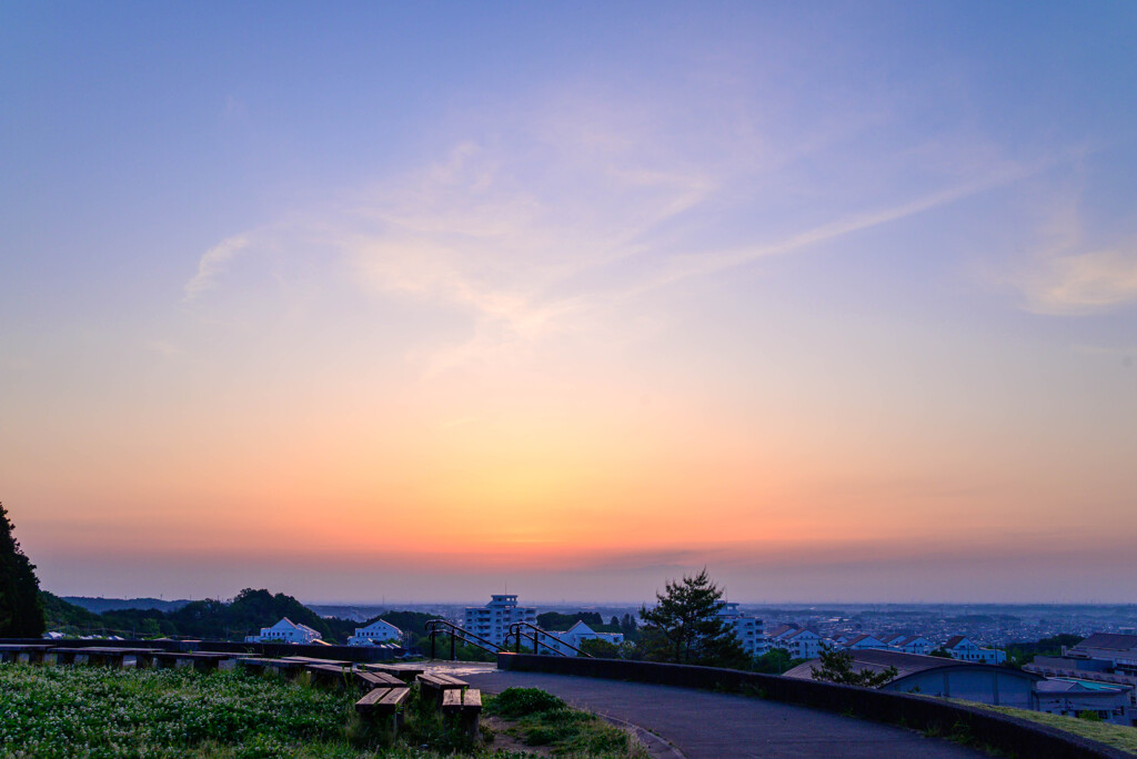 皐月 白詰草と見る夜明け