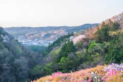 里山の春爛漫