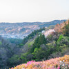 里山の春爛漫