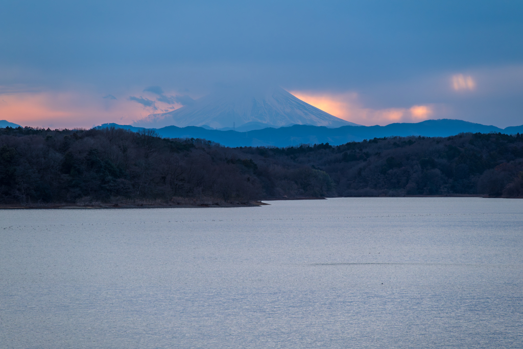 魅惑の光