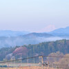 今春の霧と霞感を撮っておきたかったんです・・・