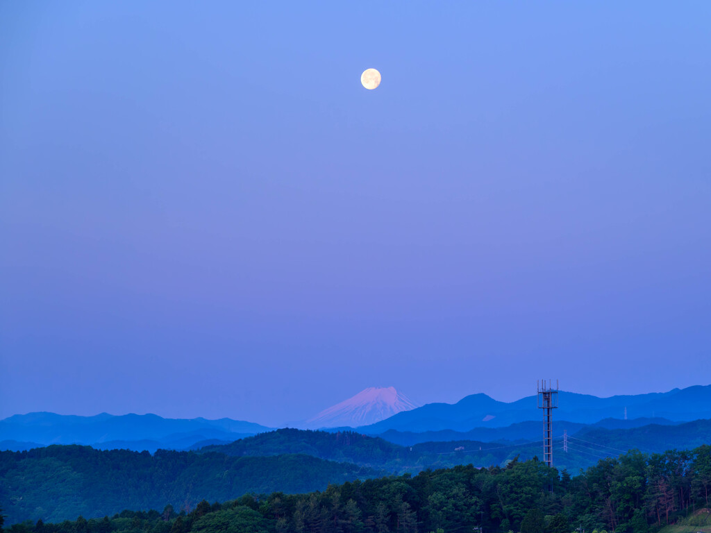 皐月の明け富士と入月