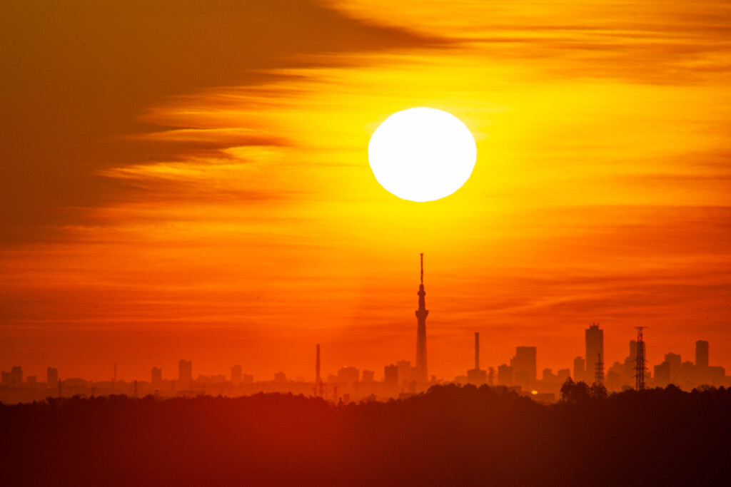 2月10日　黄金の雲と昇る陽を従えたスカイツリー