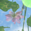 早朝の夏空を映す