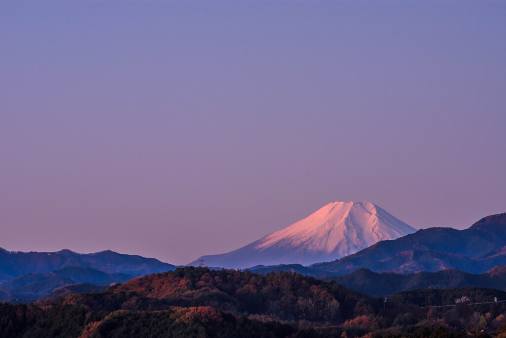 早朝　暗闇の中で起きていること・・・Ⅲ