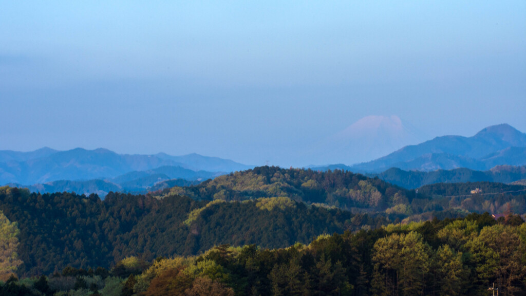 春の朝　霞んだ先に・・・