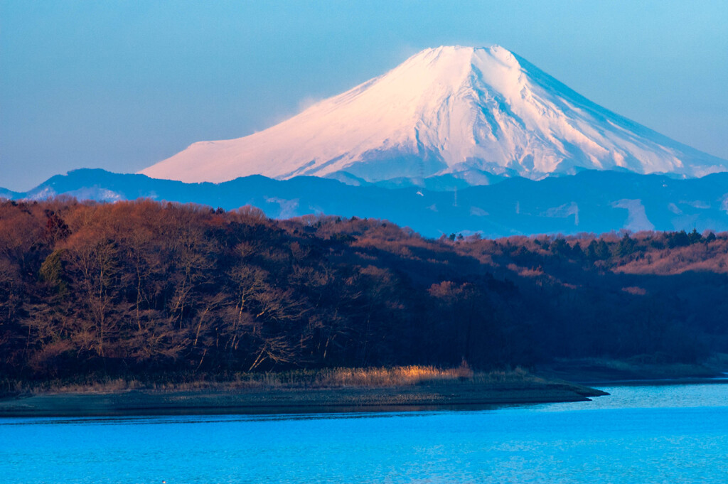2005・早春の狭山湖Ⅰ