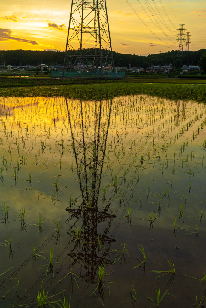 水張月の夕景Ⅱ