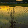水張月の夕景Ⅱ