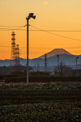 2021新春に観る入間茶畑からの夕景