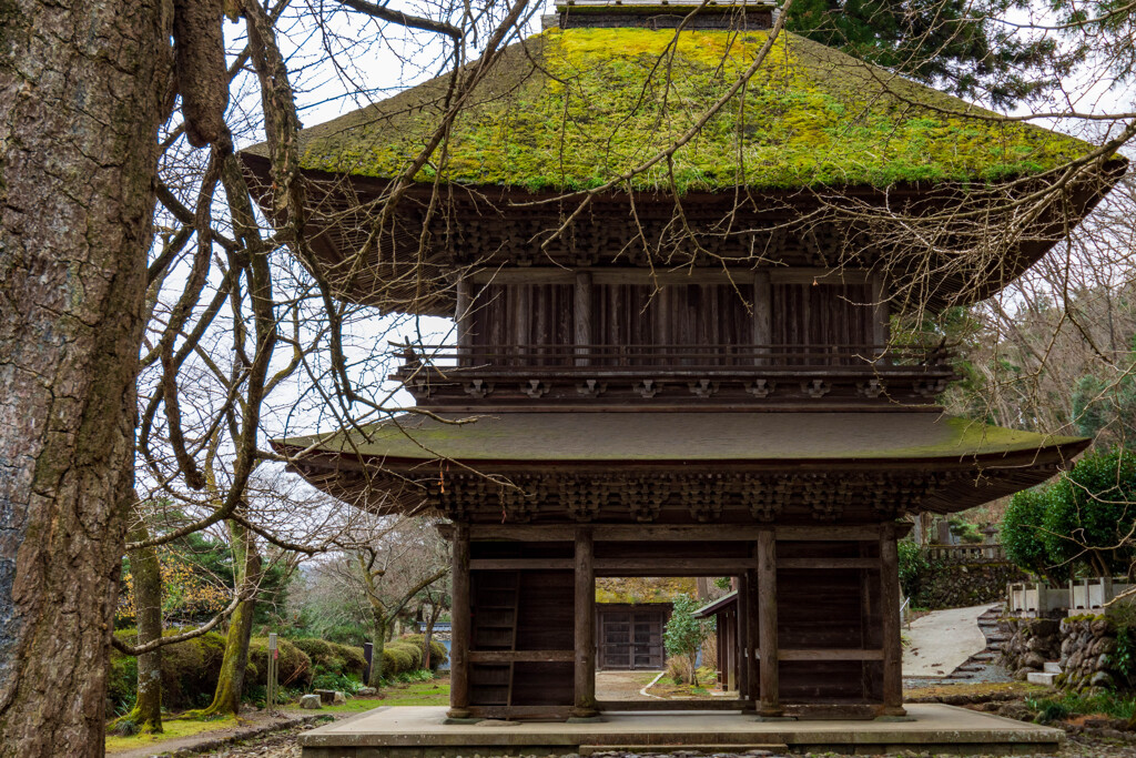 苔むす山門