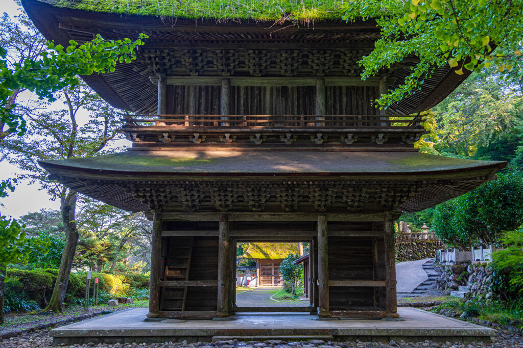 晩秋の広徳寺山門と銀杏Ⅳ