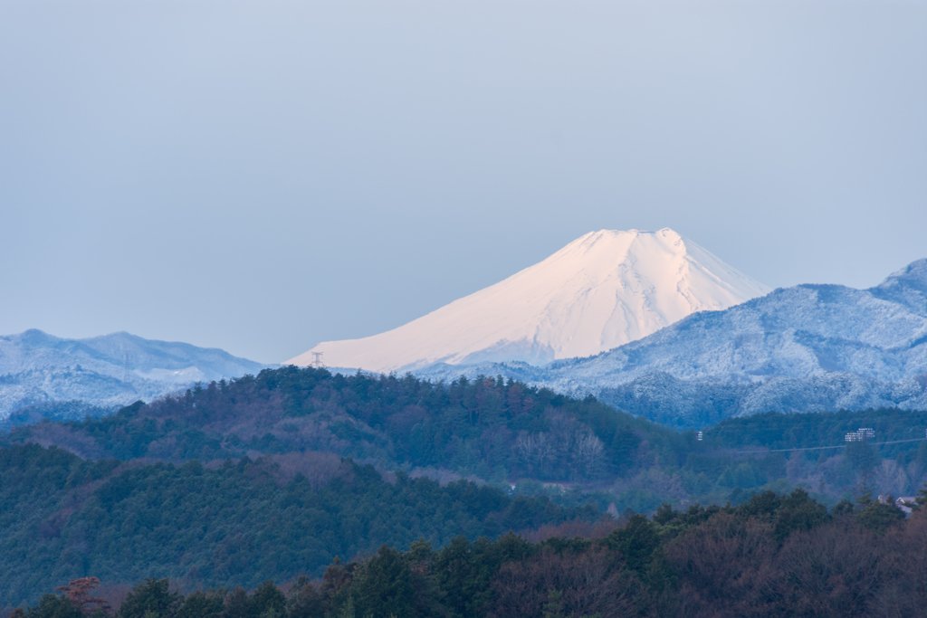 2022春彼岸の雪化粧Ⅱ